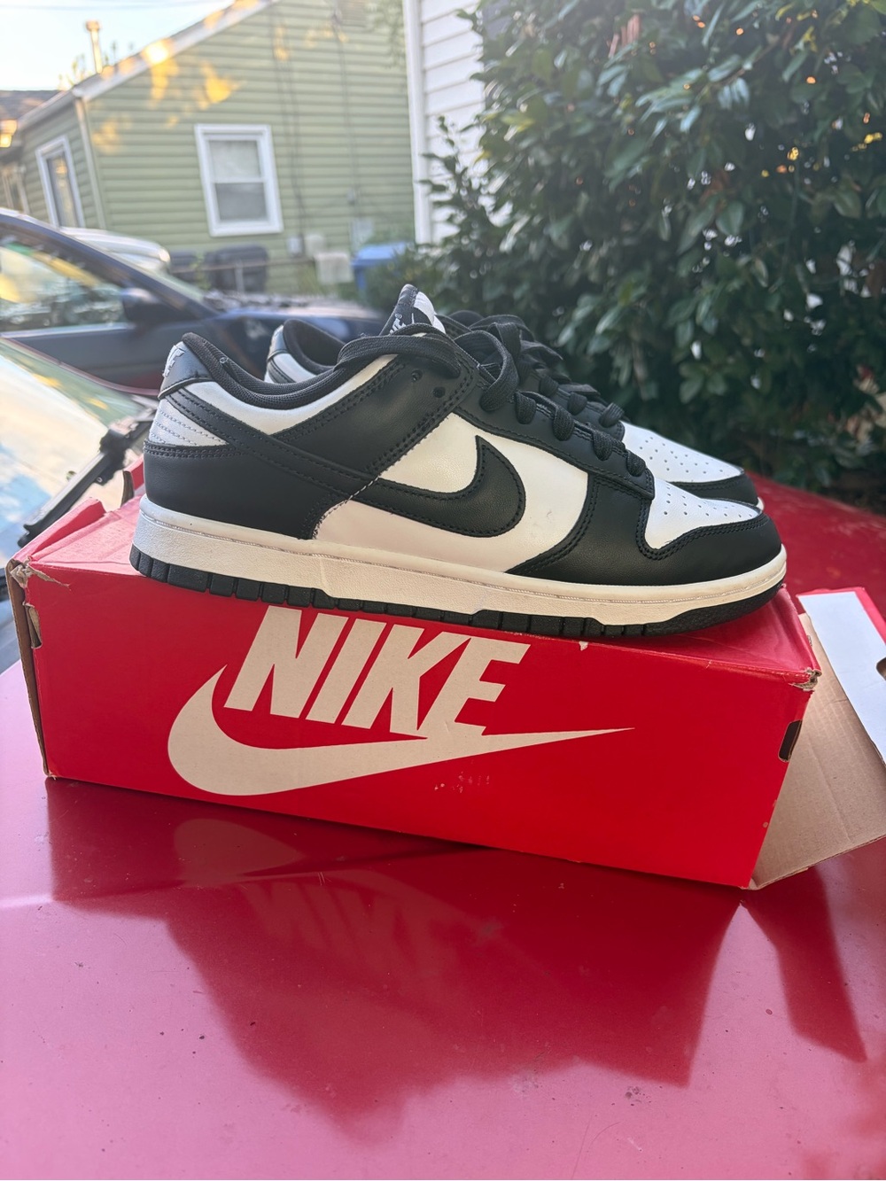 Nike Black and White Low-Top Dunk-Style Sneakers